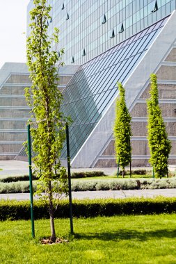 Binanın etrafındaki parkın peyzajı, sığ alan derinliğine dikkat edin
