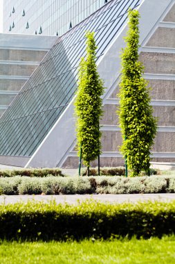 Binanın etrafındaki parkın peyzajı, sığ alan derinliğine dikkat edin