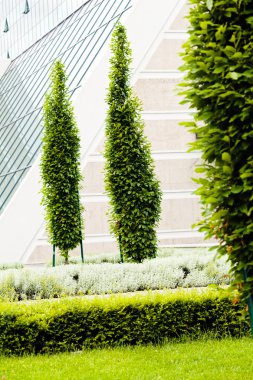 Binanın etrafındaki parkın peyzajı, sığ alan derinliğine dikkat edin