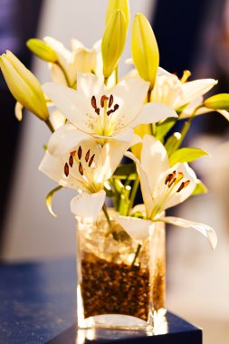 Orkidelerin ikebana 'sı, alan derinliğine dikkat et.