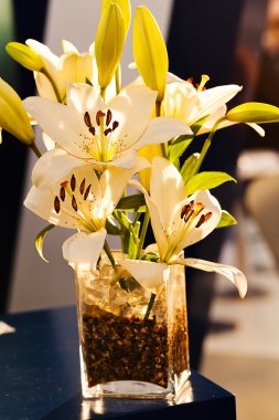 Orkidelerin ikebana 'sı, alan derinliğine dikkat et.