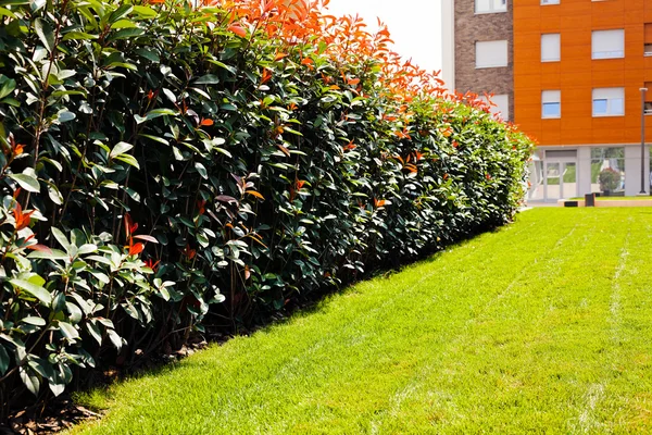 Evergreen Park, not alan sığ derinliği çitleri