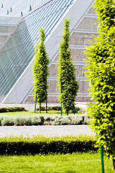 Binanın etrafındaki parkın peyzajı, sığ alan derinliğine dikkat edin