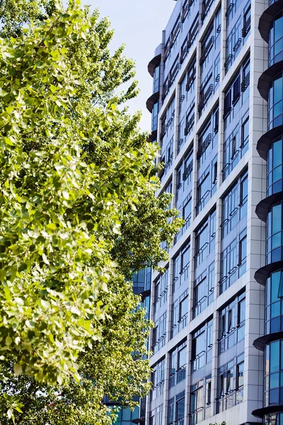 Árbol Frente Edificios Comerciales Nota Poca Profundidad Campo — Foto de Stock