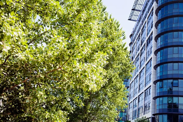 Ticari binaların önündeki ağaç, alan derinliğine dikkat edin.