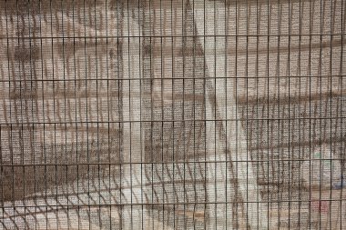 Küçük plastik ağlardan ve içi boş metal çitlerden korunan tenteler, sığ alan derinliğine dikkat edin.