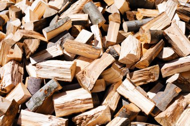 Kış için hazırlanmış odun yığını