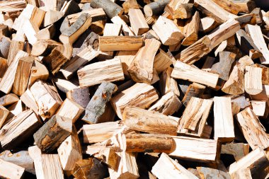 Kıyılmış yangın woods yığını 