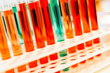 Kırmızı ve yeşil kimyasallarla test tüpleri