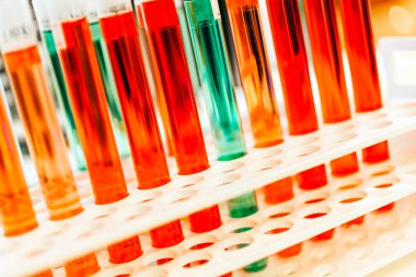 Kırmızı ve yeşil kimyasal test tüplü laboratuvar ekipmanları.