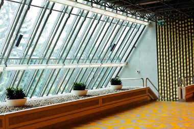 Sarı-gri halılı ve büyük cam duvarlı otel lobisi.