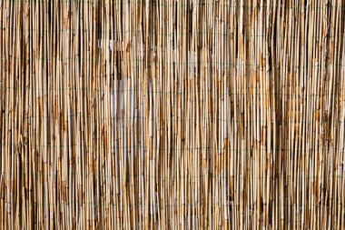 Çit kuru sazlıktan yapılmıştır.