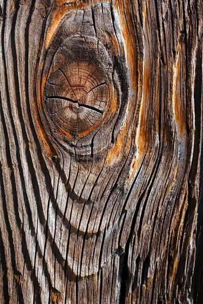 Widok Bliska Starego Pnia Drzewa Dla Tekstury Tła — Zdjęcie stockowe