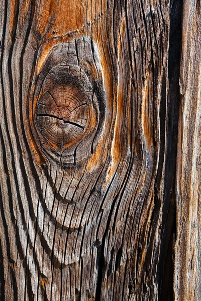 Primo Piano Vecchio Albero Colore Marrone Scuro — Foto Stock