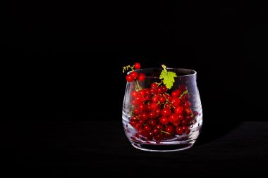 Bardakta olgun, sulu kırmızı frenk üzümü var, siyah bir ördekte izole edilmiş.