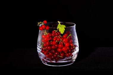 Cam kasedeki kırmızı üzümlü üzümler siyah sırtüstü izole edilmiş.