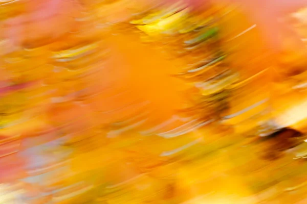 Autumn Sunny Leaves Blurred 100 — Stock Photo, Image