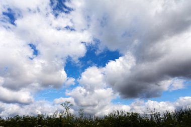 Bahar günü çayır ve bulutlu gökyüzü