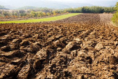 Toprağı sürdüm, kahverengi gevşek toprak