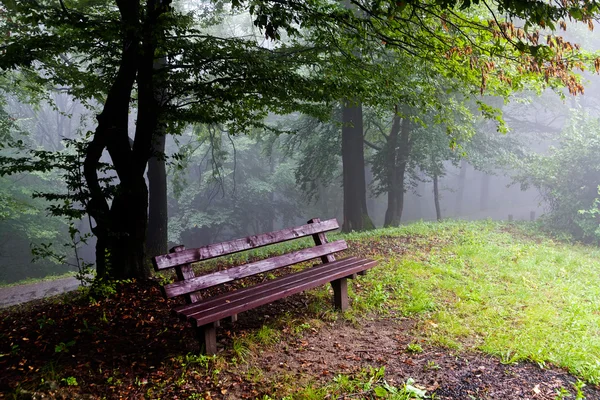 Пустая Деревянная Скамейка Туманном Парке — стоковое фото
