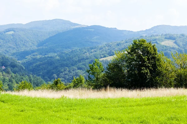 Paesaggio Con Prati Verdi Freschi Montagne Sullo Sfondo — Foto Stock