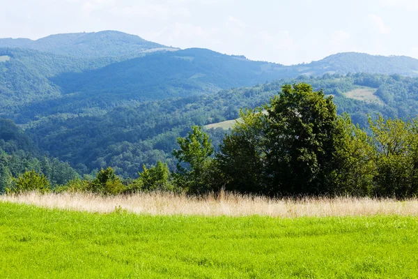 Paesaggio Con Prati Verdi Freschi Montagne Sullo Sfondo — Foto Stock