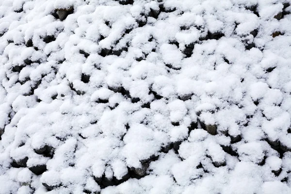 在融化的雪地下看到一块黑色的小石头 — 图库照片