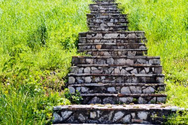 Taş merdiven yukarı doğru giden çim kaplı 