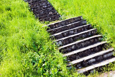 Yeşil çimlerin arasında taş adımlar