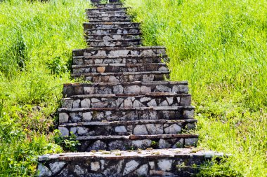 Taş merdiven yukarı doğru giden çim kaplı 