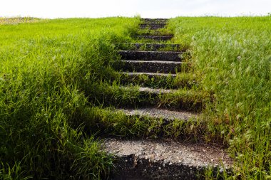 Taş merdiven yukarı doğru giden çim kaplı 