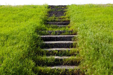 Küçük tepedeki çimlerde eski taş kamışları 