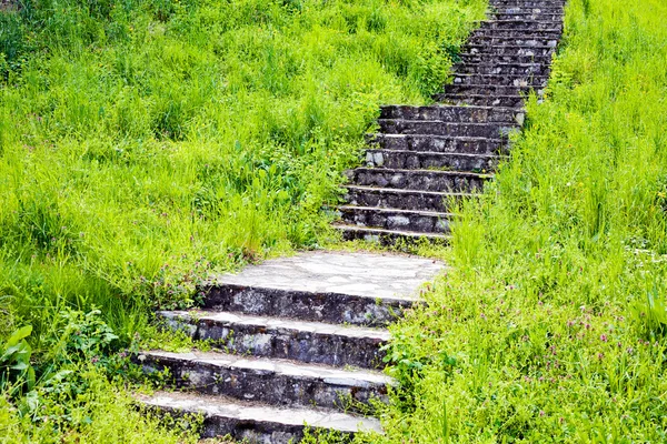 Side view of stone stairs in the center of grass field