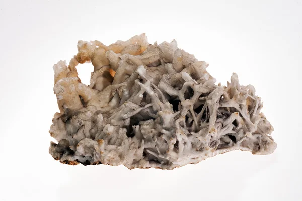 Fiore Ferro Minerale Aragonit Sullo Sfondo Bianco — Foto Stock