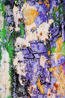 Hasarlı duvarın kalıntıları, yüzeysel alan derinliğine dikkat edin.