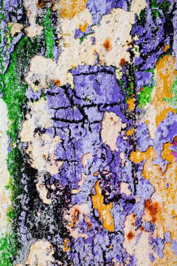 Hasarlı duvarın kalıntıları, yüzeysel alan derinliğine dikkat edin.