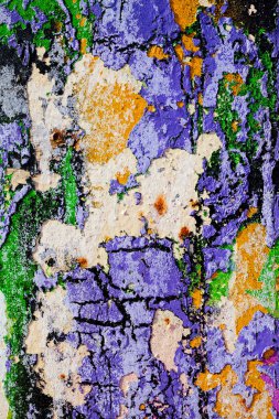 Hasarlı duvarın kalıntıları, yüzeysel alan derinliğine dikkat edin.