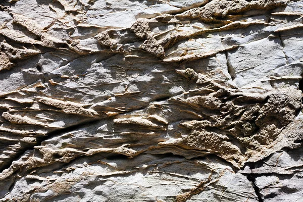 Parte Abstracta Pared Piedra Destruida Nota Poca Profundidad Campo —  Fotos de Stock