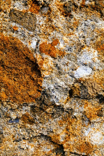 Abstracte Oude Stenen Muur Noot Ondiepe Diepte Van Het Veld — Stockfoto