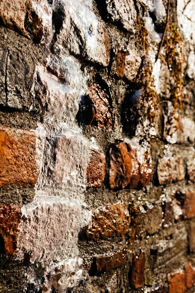 wet stone wall, note shallow depth of field