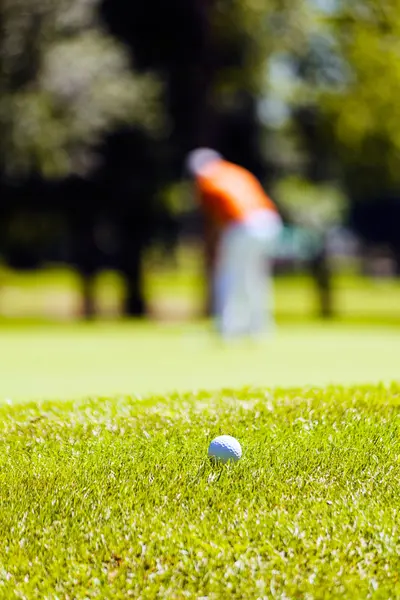 Golfpálya Játékos Megjegyzés Sekély Mélység Ból Mező — Stock Fotó