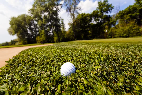 Golfball Gras Geringe Schärfentiefe Beachten — Stockfoto