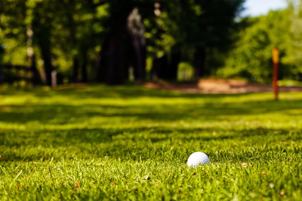 Pelota Golf Hierba Nota Poca Profundidad Campo —  Fotos de Stock