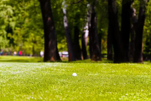 Ormanın Yakınındaki Yeşil Çimlerin Üzerinde Golf Topu Sığ Alan Derinliğine — Stok fotoğraf