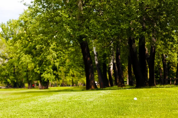 Ormanın Yakınındaki Yeşil Çimlerin Üzerinde Golf Topu Sığ Alan Derinliğine — Stok fotoğraf