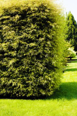 Evergreen Park, not alan sığ derinliği çitleri