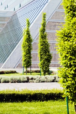Binanın etrafındaki parkın peyzajı, sığ alan derinliğine dikkat edin