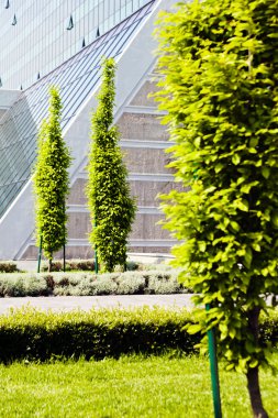 Binanın etrafındaki parkın peyzajı, sığ alan derinliğine dikkat edin
