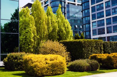 Binanın etrafındaki parkın peyzajı, sığ alan derinliğine dikkat edin