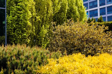 Binanın etrafındaki parkın peyzajı, sığ alan derinliğine dikkat edin